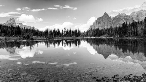 Homestead Hunting in British Columbia Image